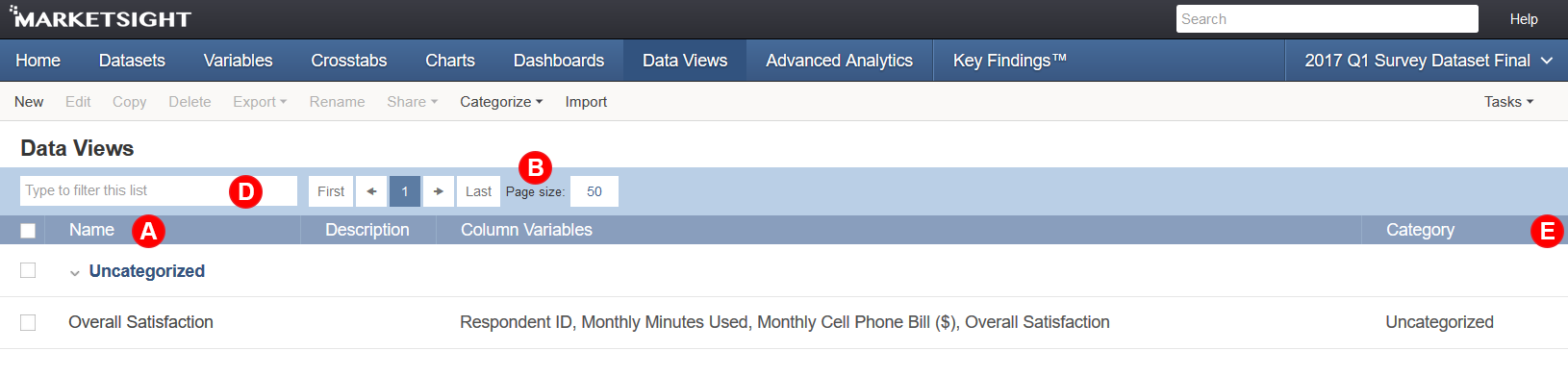 MarketSight Data Views List Page